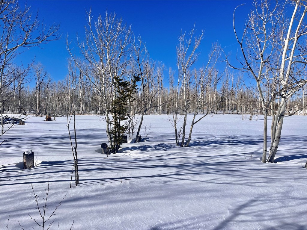 Tbd Beaver Creek Road Fairplay, CO 80440 - Photo 17 of 39 a view of backyard space