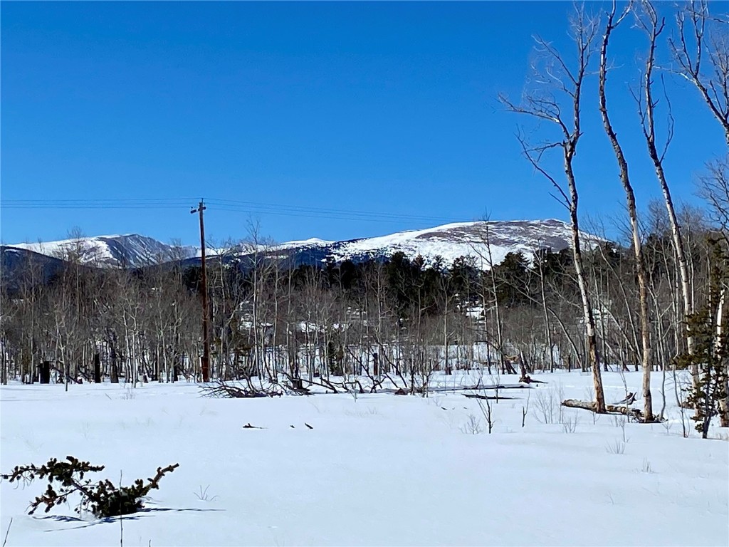 Tbd Beaver Creek Road Fairplay, CO 80440 - Photo 20 of 39 a view of a backyard