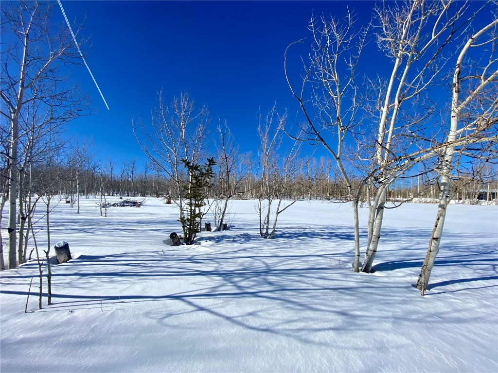 Tbd Beaver Creek Road Fairplay, CO 80440 - Photo 22 of 39