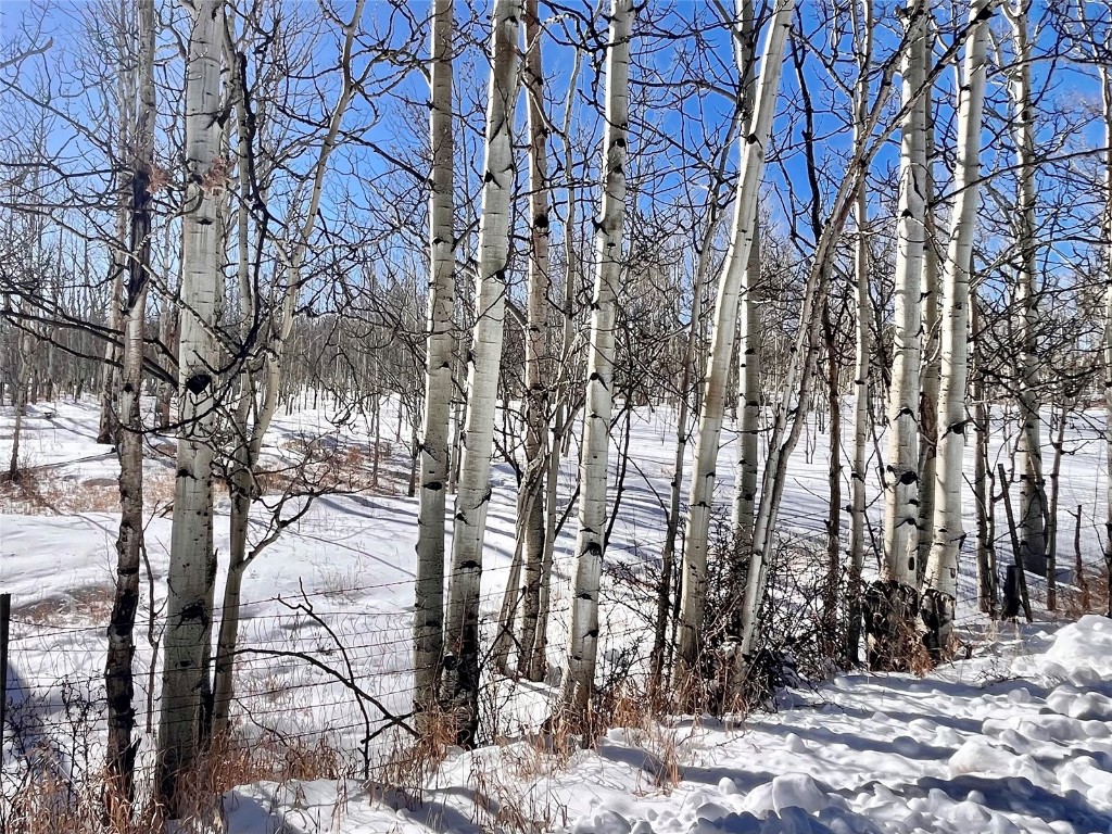 Tbd Beaver Creek Road Fairplay, CO 80440 - Photo 29 of 39 a view of outdoor space with lots of trees