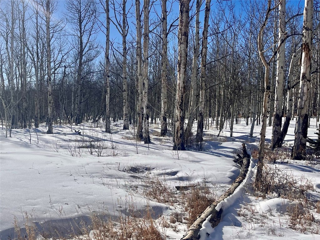 Tbd Beaver Creek Road Fairplay, CO 80440 - Photo 30 of 39 a view of snow on the side of the road