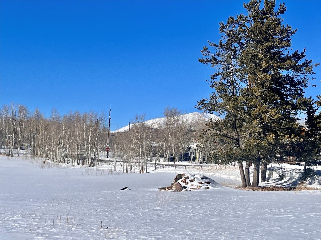 Tbd Beaver Creek Road Fairplay, CO 80440 - Photo 3 of 39 a view of outdoor space