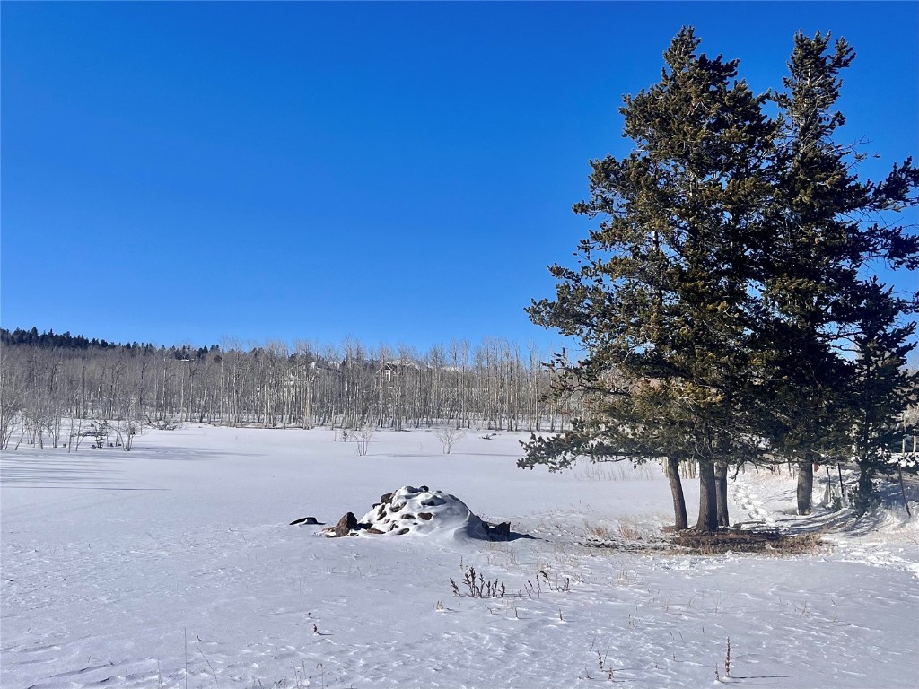 Tbd Beaver Creek Road Fairplay, CO 80440 - Photo 31 of 39 a view of a yard with a tree