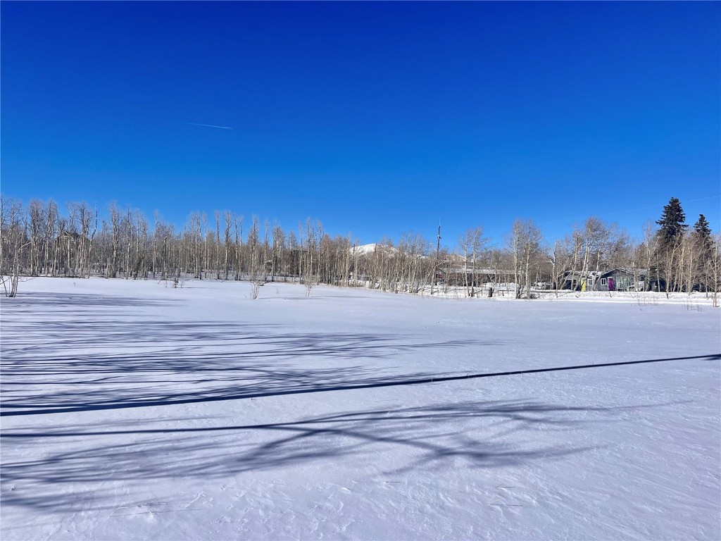 Tbd Beaver Creek Road Fairplay, CO 80440 - Photo 32 of 39 a view of a field with trees in the background