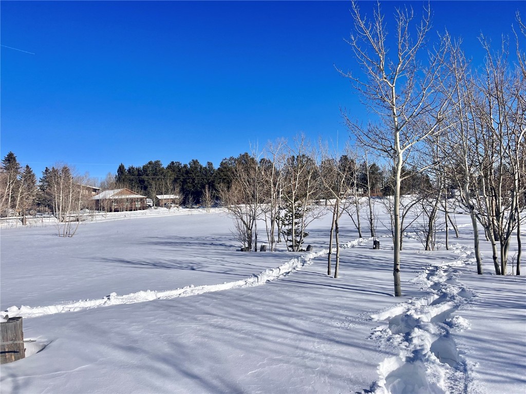 Tbd Beaver Creek Road Fairplay, CO 80440 - Photo 33 of 39 a view of road with trees