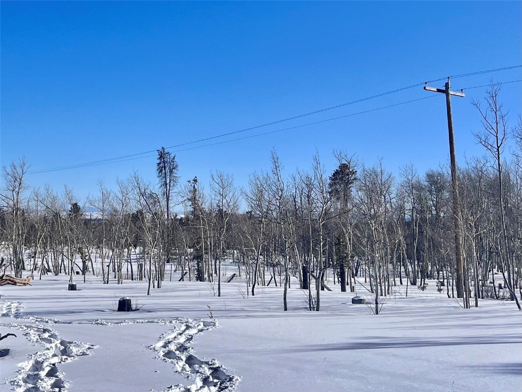 Tbd Beaver Creek Road Fairplay, CO 80440 - Photo 34 of 39 a view of a road with a trees