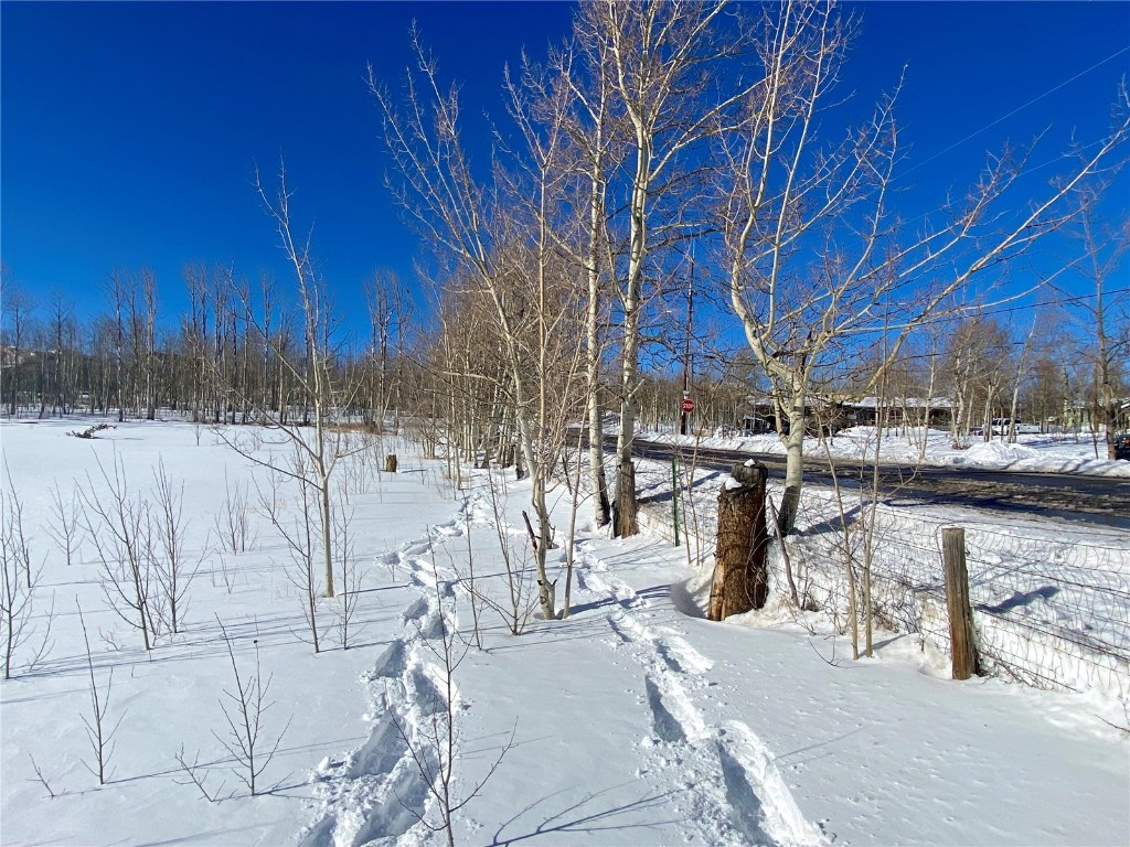 Tbd Beaver Creek Road Fairplay, CO 80440 - Photo 35 of 39 a view of a backyard