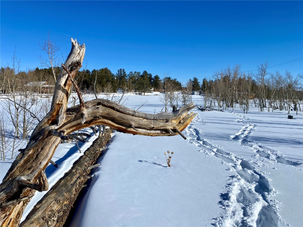 Tbd Beaver Creek Road Fairplay, CO 80440 - Photo 36 of 39 a view of a basketball court