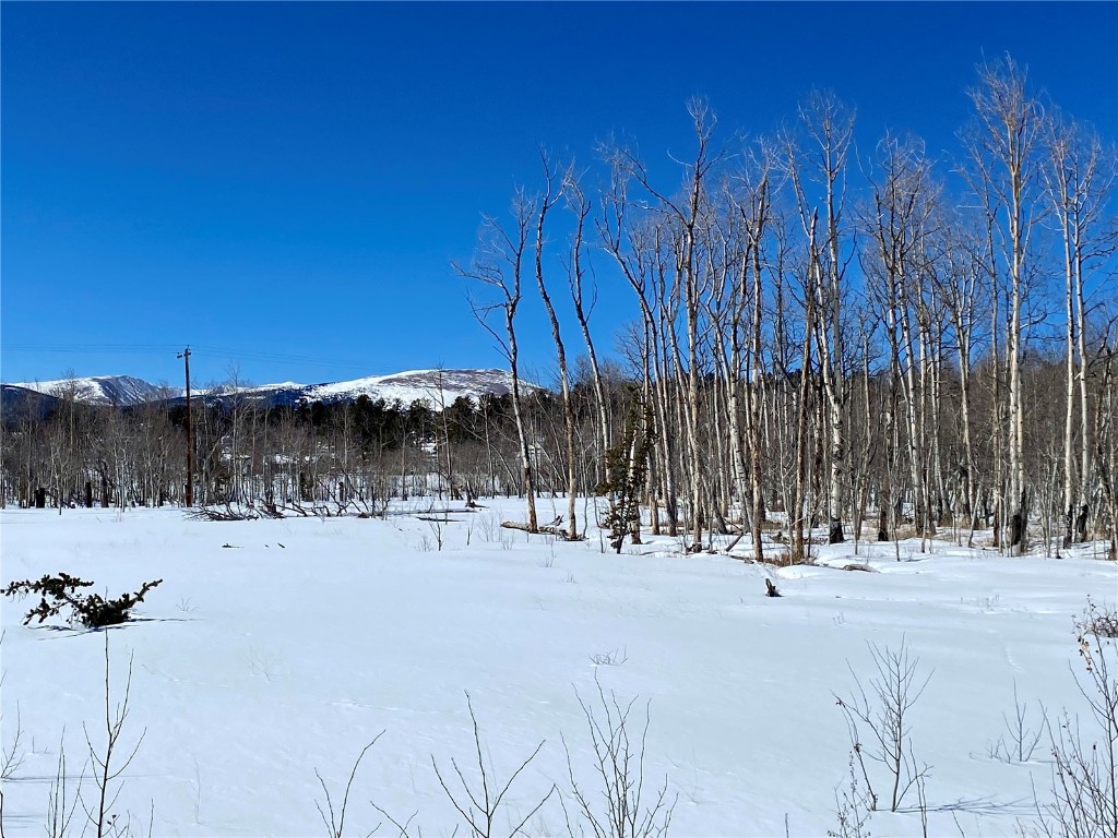 Tbd Beaver Creek Road Fairplay, CO 80440 - Photo 37 of 39 a view of a basket ball ground