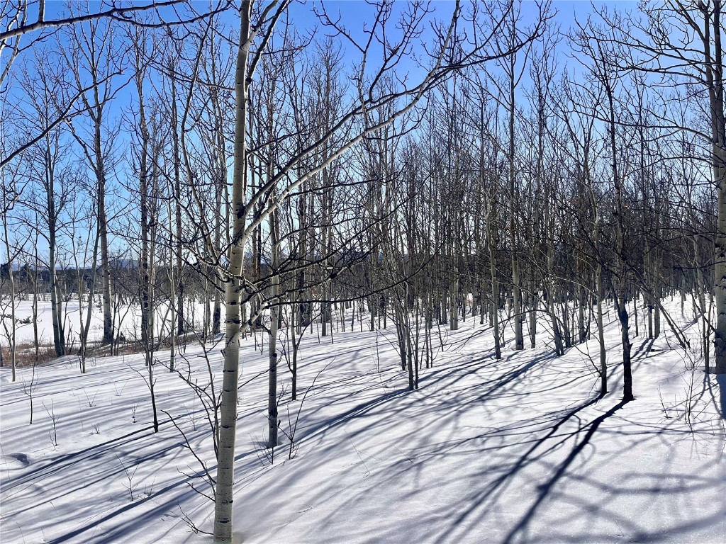 Tbd Beaver Creek Road Fairplay, CO 80440 - Photo 4 of 39