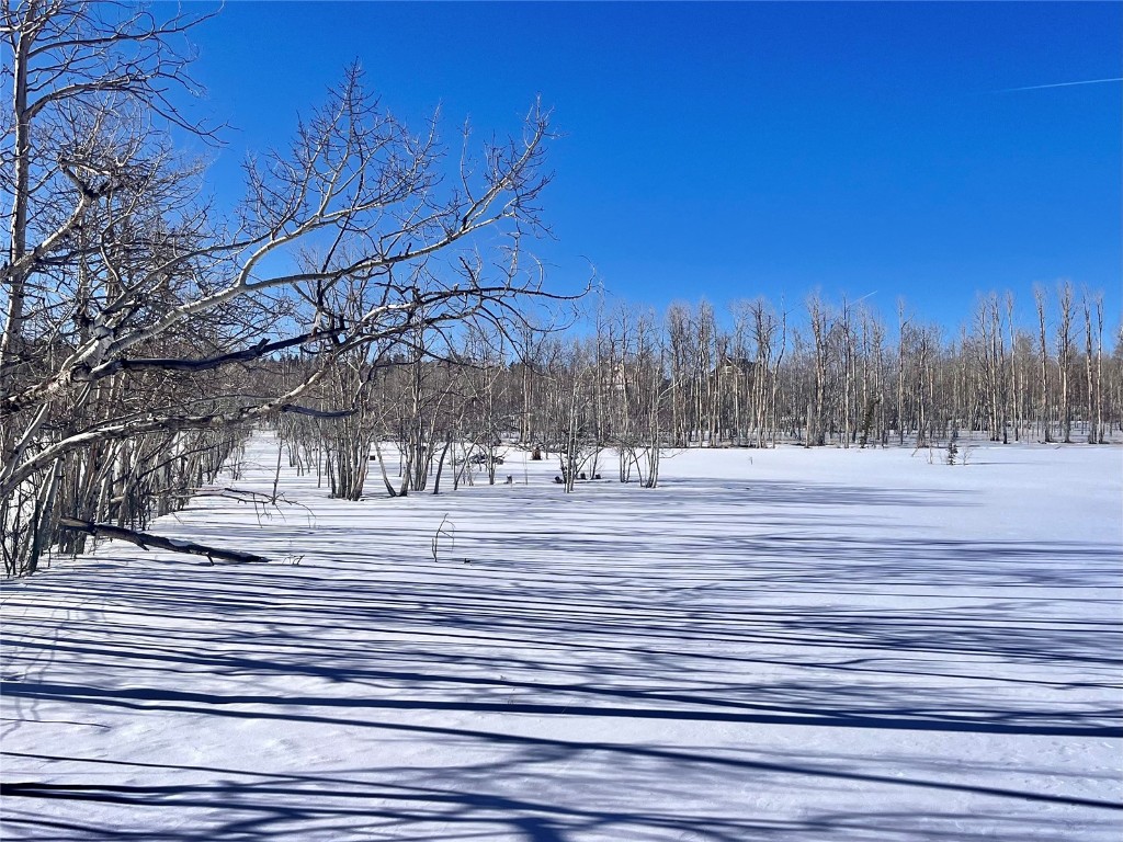 Tbd Beaver Creek Road Fairplay, CO 80440 - Photo 5 of 39 a view of a yard and trees