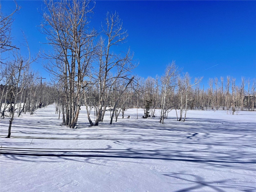 Tbd Beaver Creek Road Fairplay, CO 80440 - Photo 7 of 39 a view of road and trees