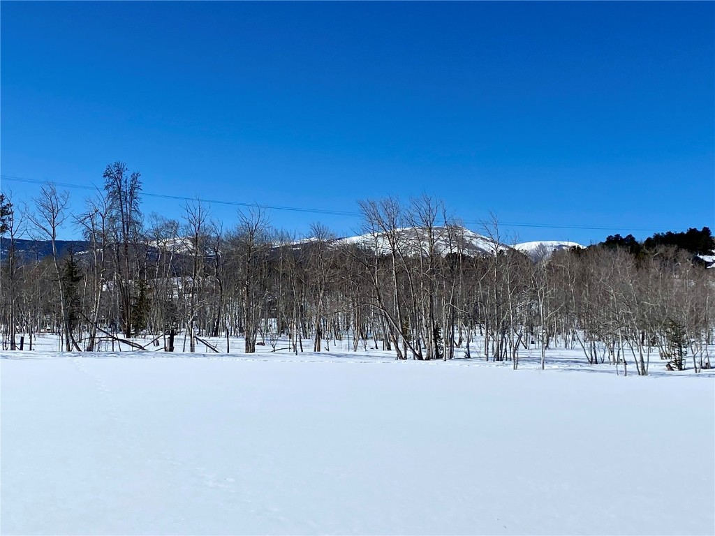 Tbd Beaver Creek Road Fairplay, CO 80440 - Photo 10 of 39 a view of a snow with the view of trees