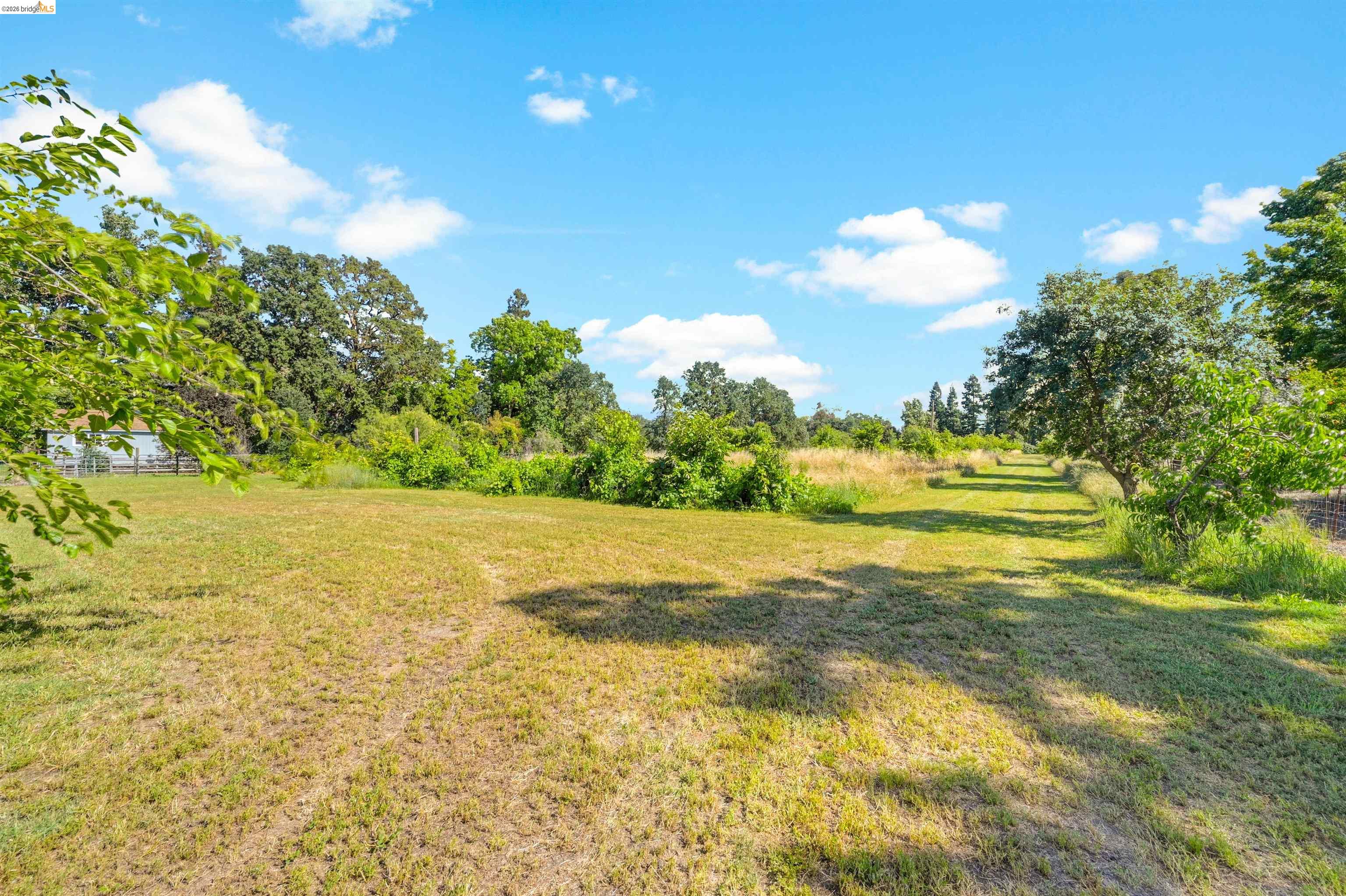 10474 Sheldon Road Elk Grove, CA 95624 - Photo 73 of 83 Expansive open land with varying grass textures, bordered by mature trees and lush green foliage