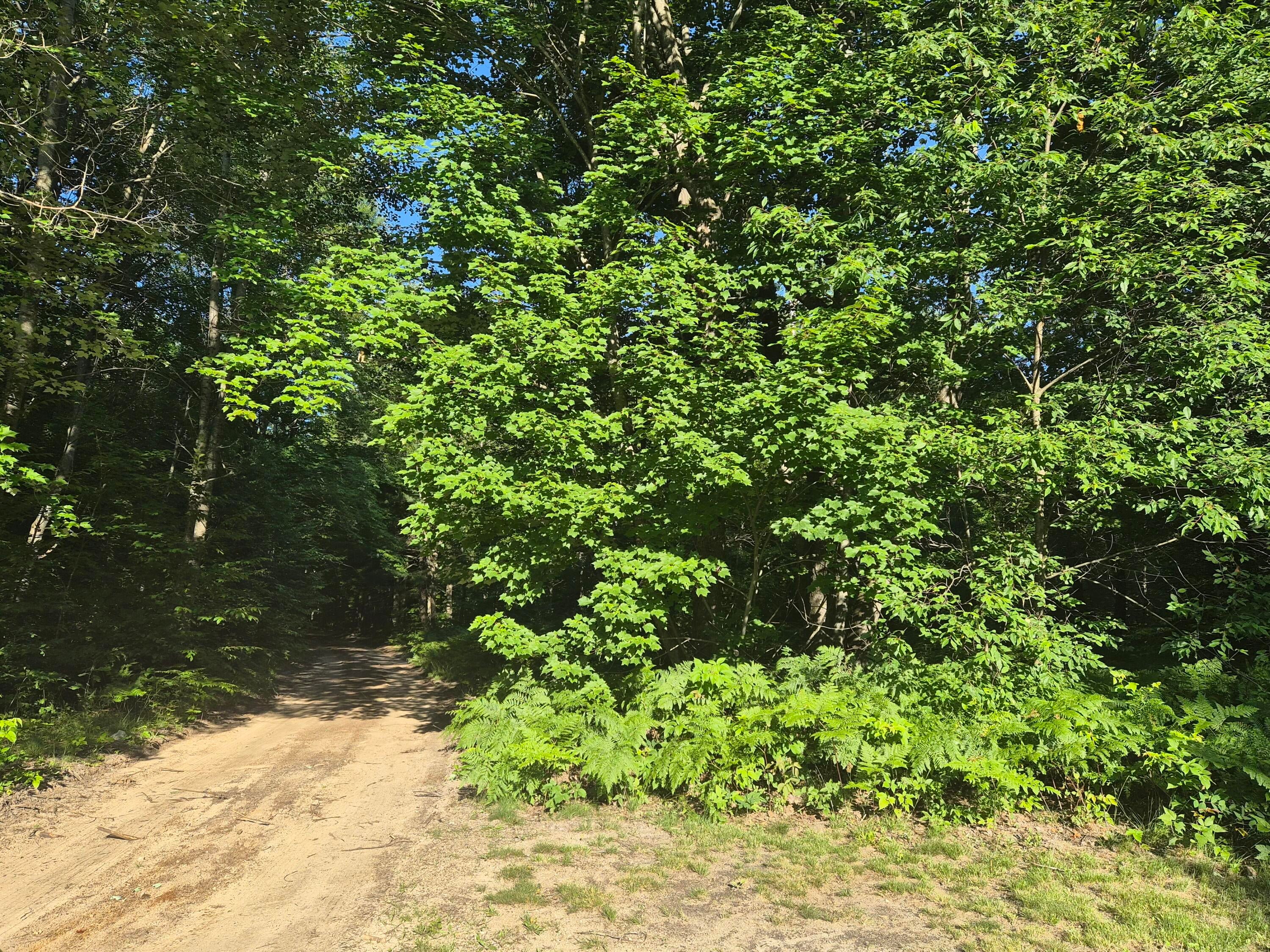 10870 Sutters Mill Road Frederic, MI 49733 - Photo 82 of 88 Gallery Image 82