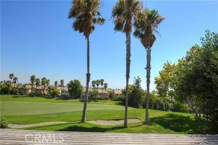 a view of a park with palm trees