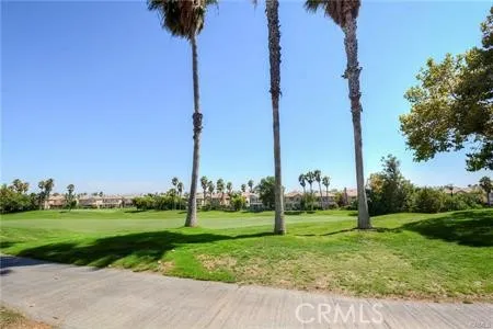 a view of a park with palm trees