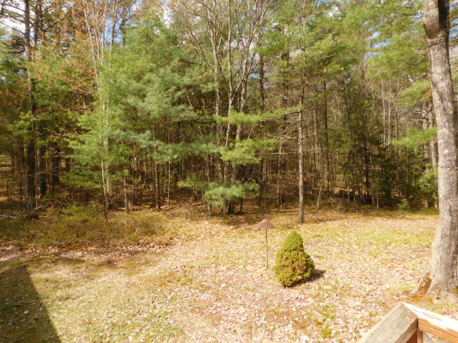 42 West Lebanon Road Lebanon, ME 04027 - Photo 25 of 25 DSCN7572