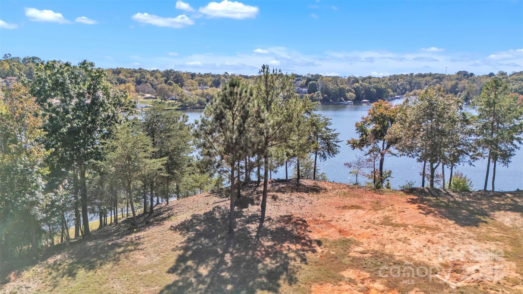 140 Reitzel Road Taylorsville, NC 28681 - Photo 11 of 15 a view of a yard with a tree