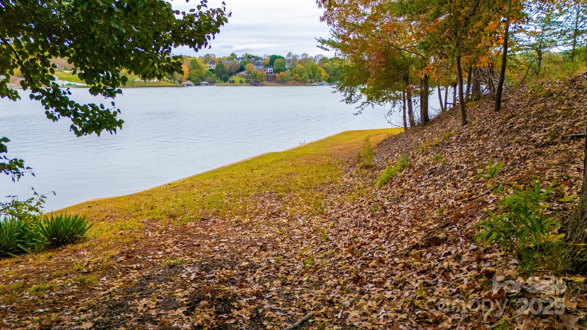 140 Reitzel Road Taylorsville, NC 28681 - Photo 6 of 15 a view of a large yard with plants and trees