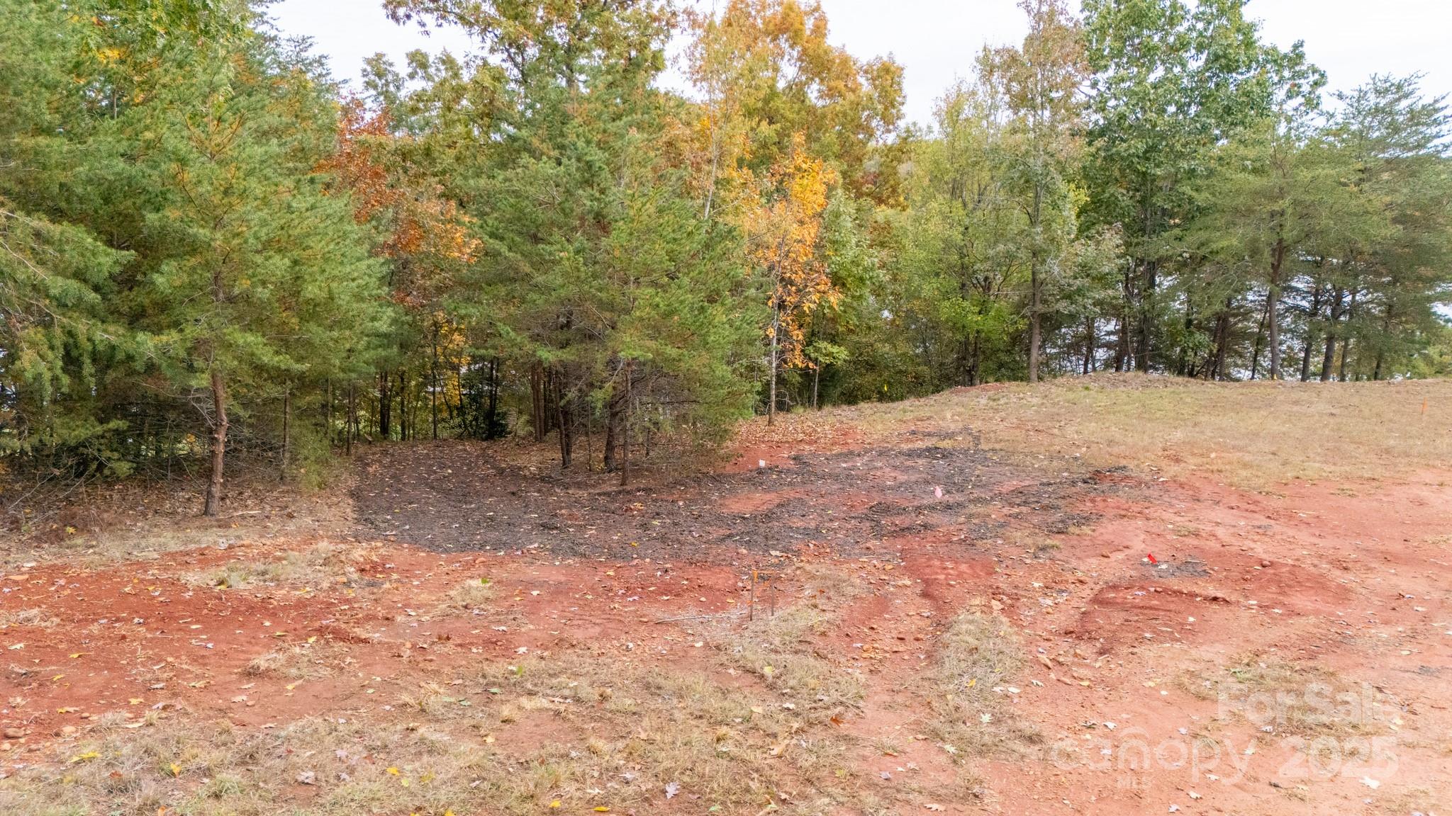 140 Reitzel Road Taylorsville, NC 28681 - Photo 8 of 15 a view of a forest with trees in the background