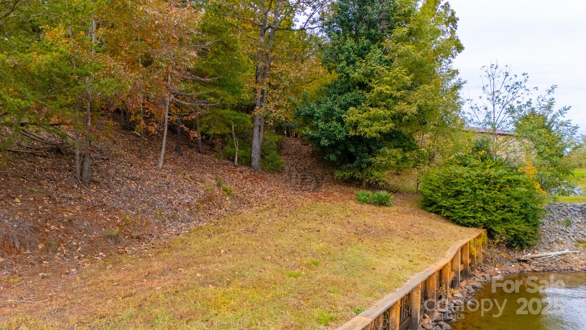 140 Reitzel Road Taylorsville, NC 28681 - Photo 9 of 15 a view of a yard with plants and trees