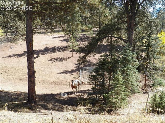 2386 Pathfinder Road Florissant, CO 80816 - Photo 10 of 32 Gallery Image 10