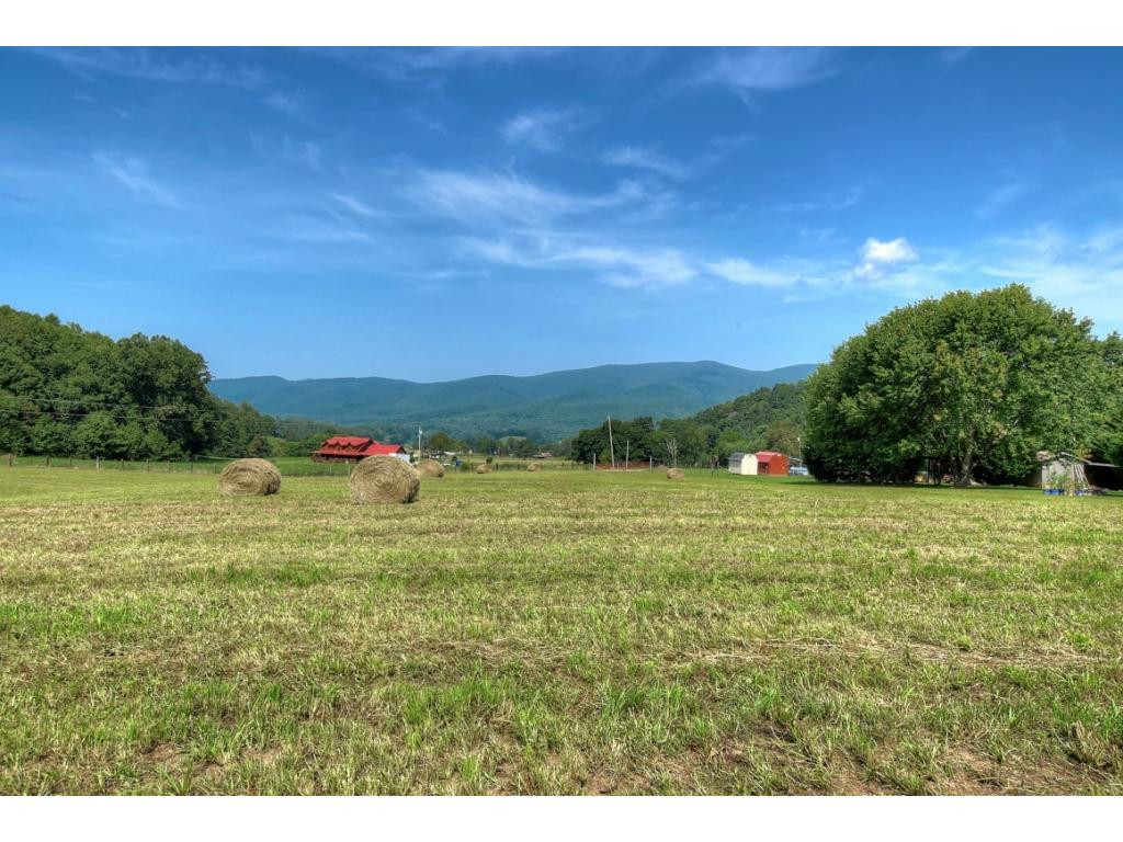 166 Flora Dugger Road Elizabethton, TN 37643 - Photo 30 of 36 Photo 30