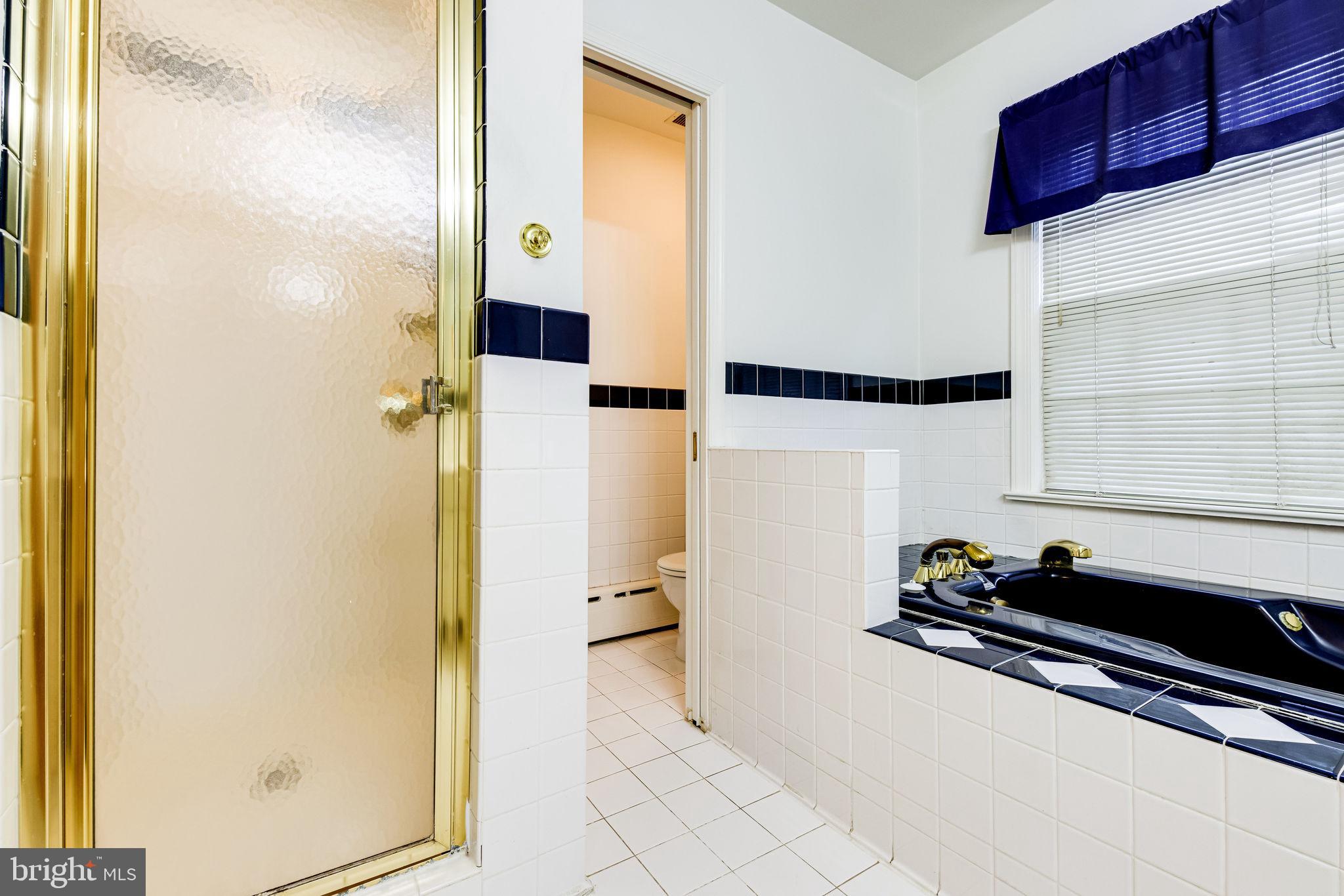 3308 Russell Road Alexandria, VA 22305 - Photo 50 of 88 Primary full bath
