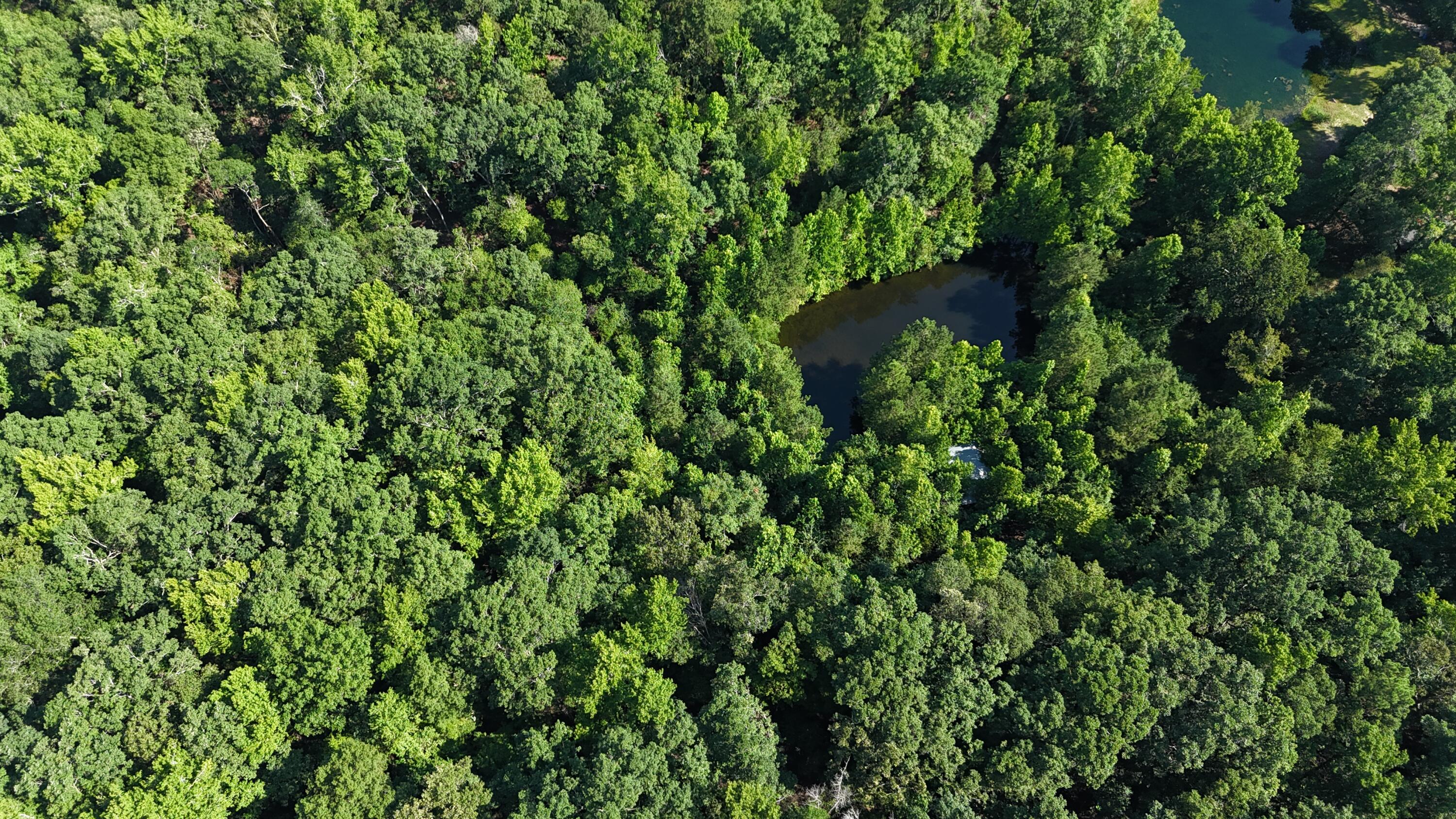 2031 McDade Road Hephzibah, GA 30815 - Photo 8 of 16 DJI_20250626101930_0069_D