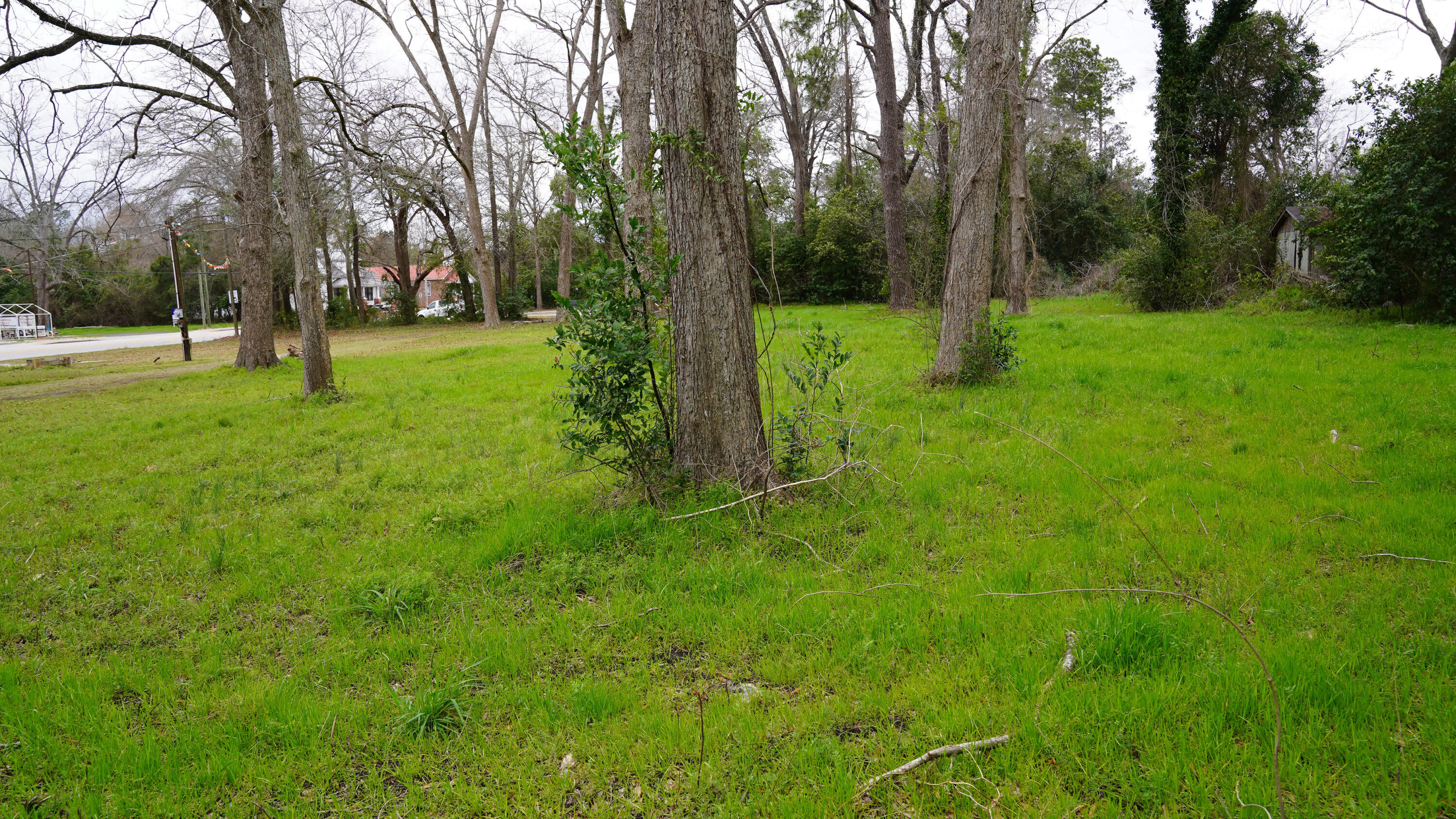 5636 County Rd S-18-200 St. George, SC 29477 - Photo 16 of 17 5636 Memorial Boulevard