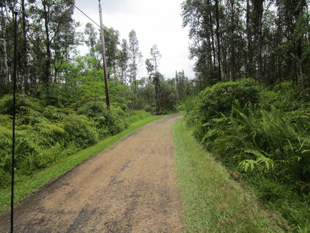 227 Paradise Road Pahoa, HI 96778 - Photo 3 of 3 Gallery Image 3