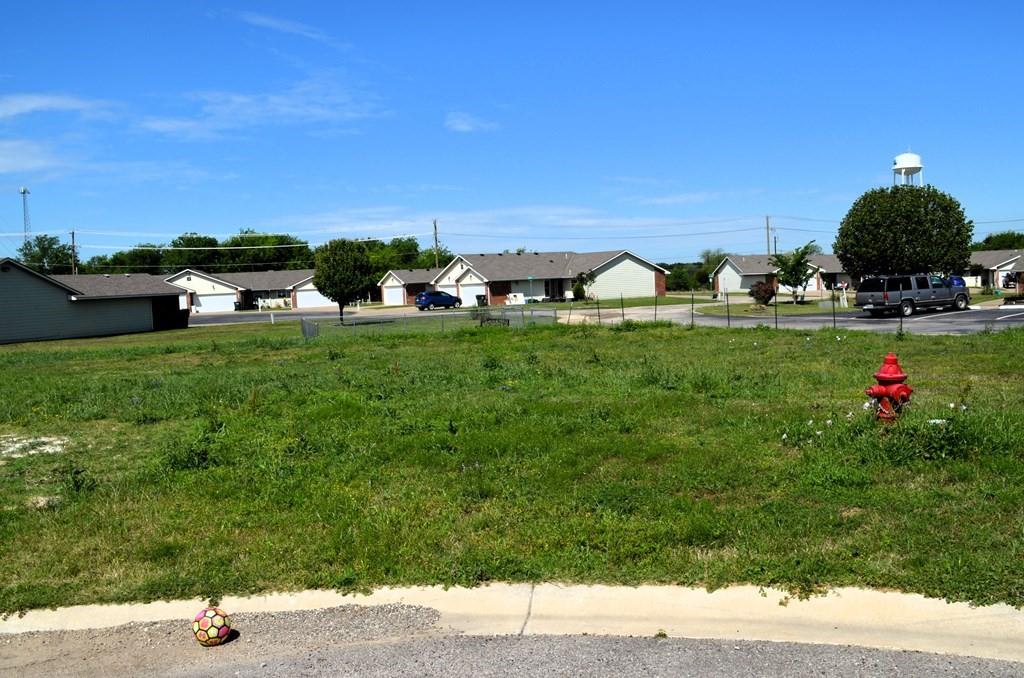 208 Preston Road Mabank, TX 75147 - Photo 2 of 3 a backyard of a house with lots of green space