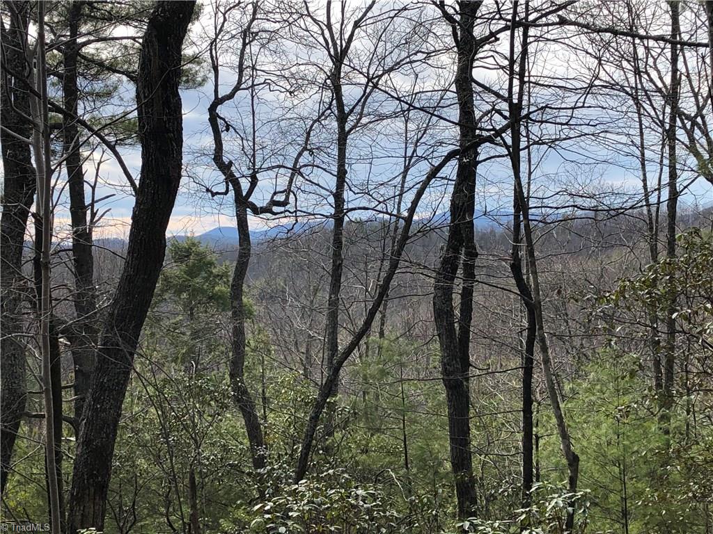 Lot 172 Blue Rock Road Purlear, NC 28665 - Photo 1 of 43 Nice building lot with a great view!