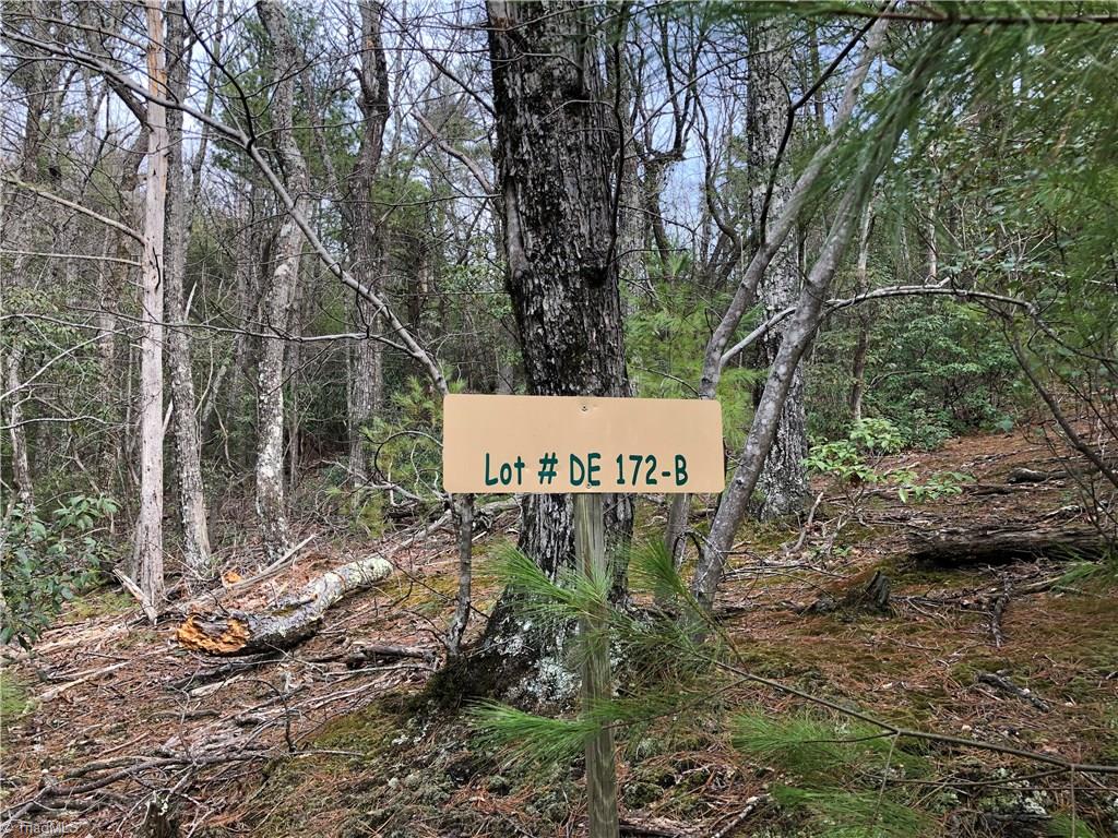 Lot 172 Blue Rock Road Purlear, NC 28665 - Photo 2 of 43