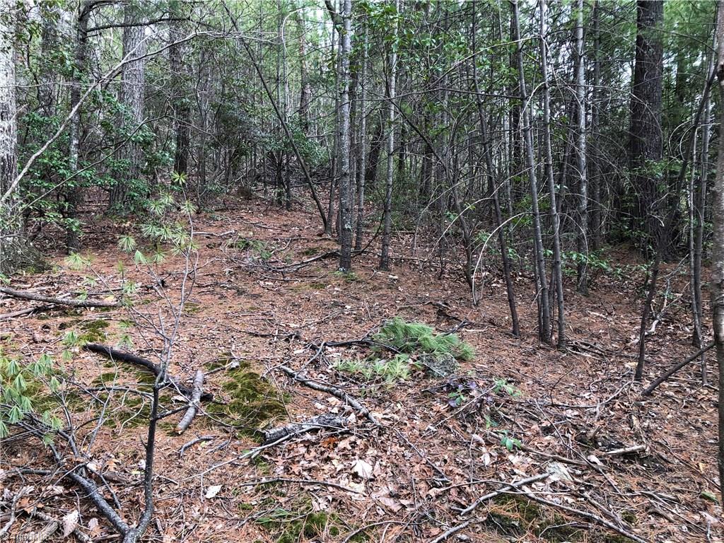 Lot 172 Blue Rock Road Purlear, NC 28665 - Photo 11 of 43