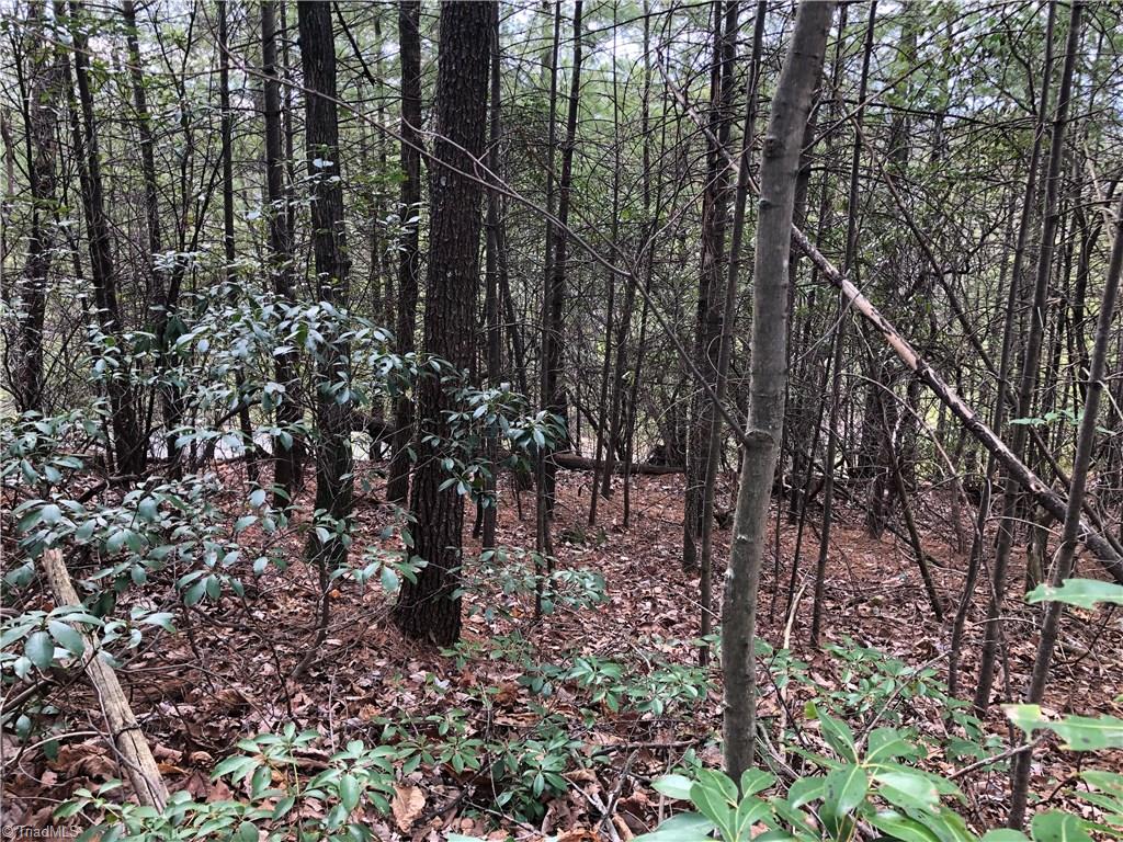 Lot 172 Blue Rock Road Purlear, NC 28665 - Photo 12 of 43