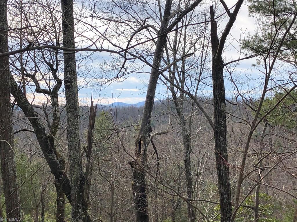 Lot 172 Blue Rock Road Purlear, NC 28665 - Photo 13 of 43