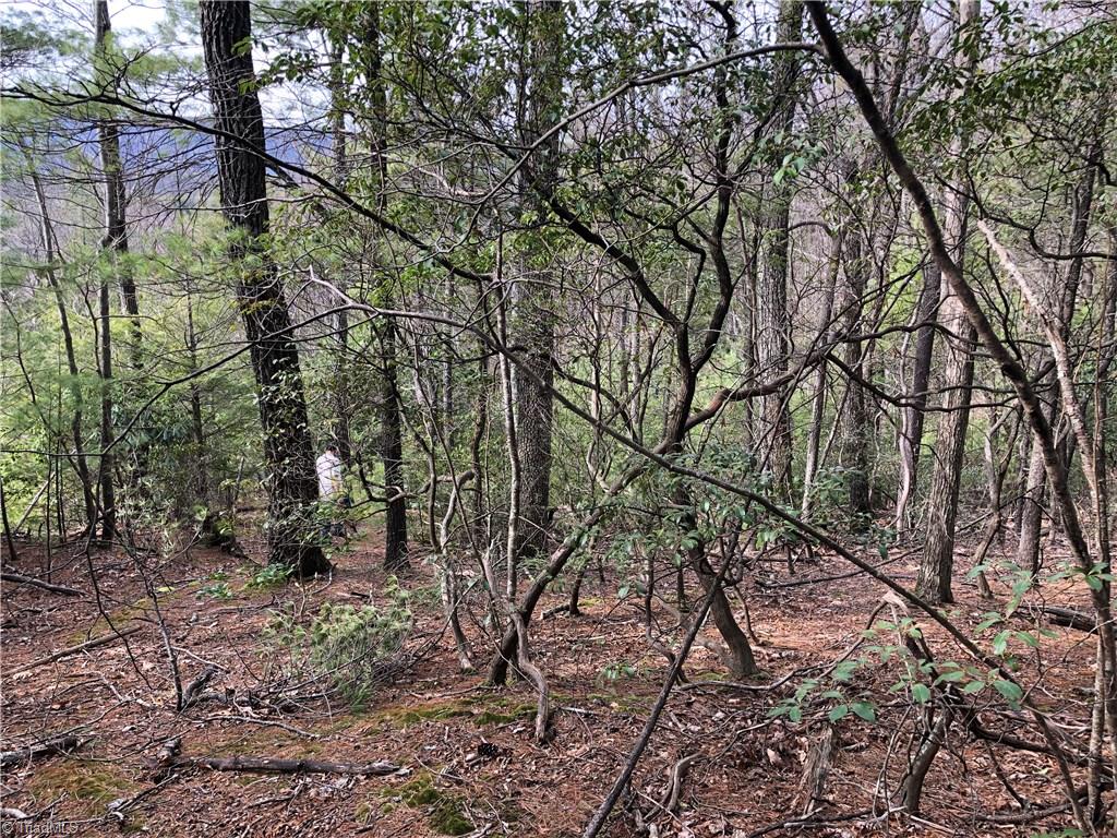 Lot 172 Blue Rock Road Purlear, NC 28665 - Photo 14 of 43