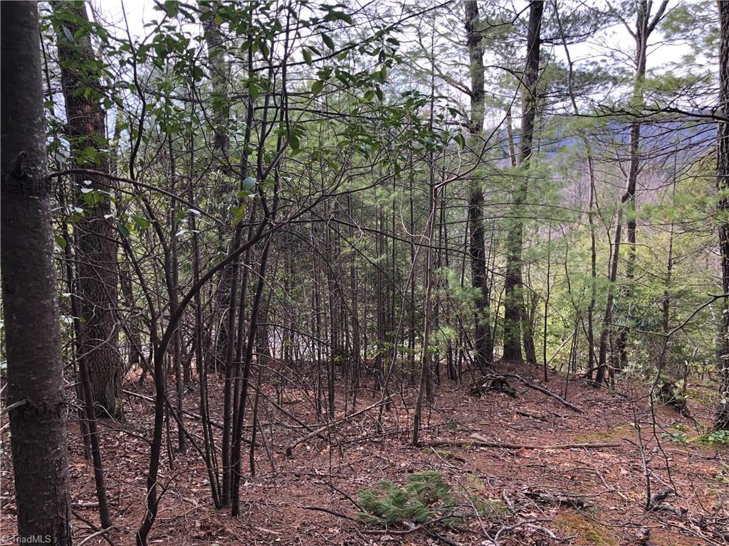 Lot 172 Blue Rock Road Purlear, NC 28665 - Photo 15 of 43