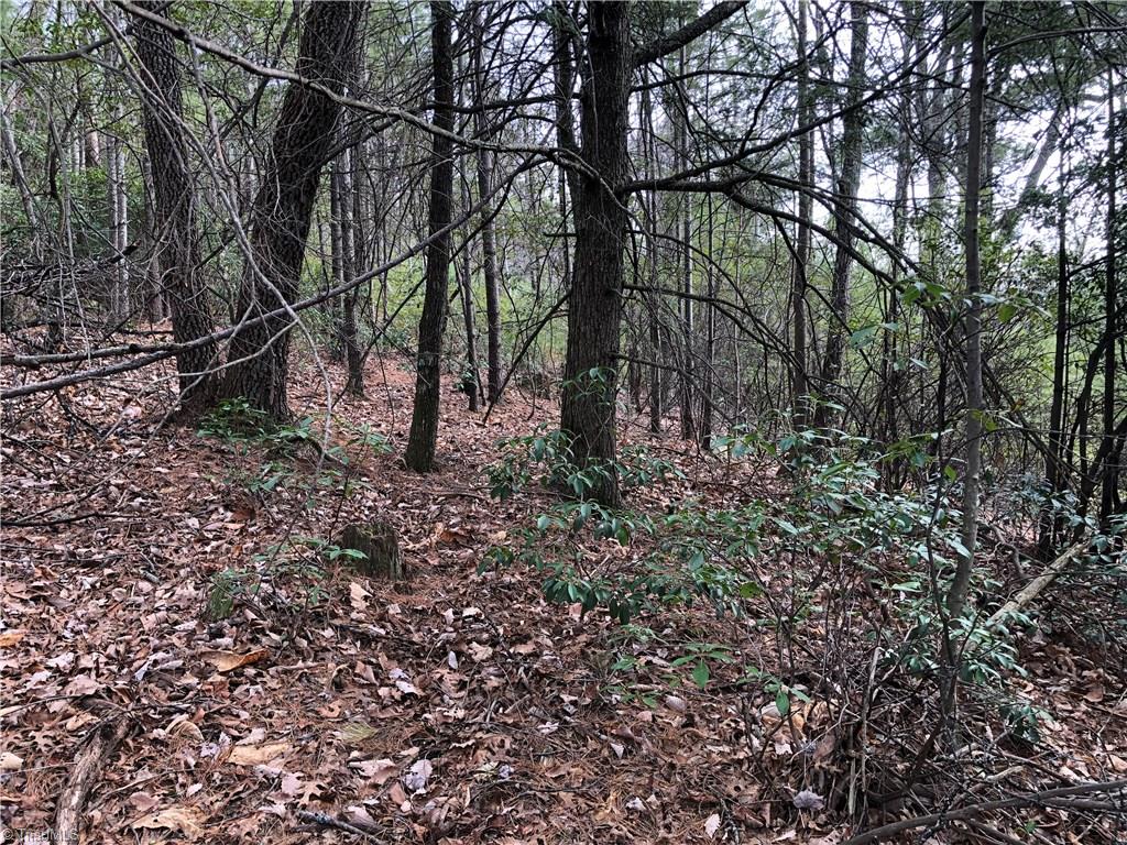 Lot 172 Blue Rock Road Purlear, NC 28665 - Photo 16 of 43