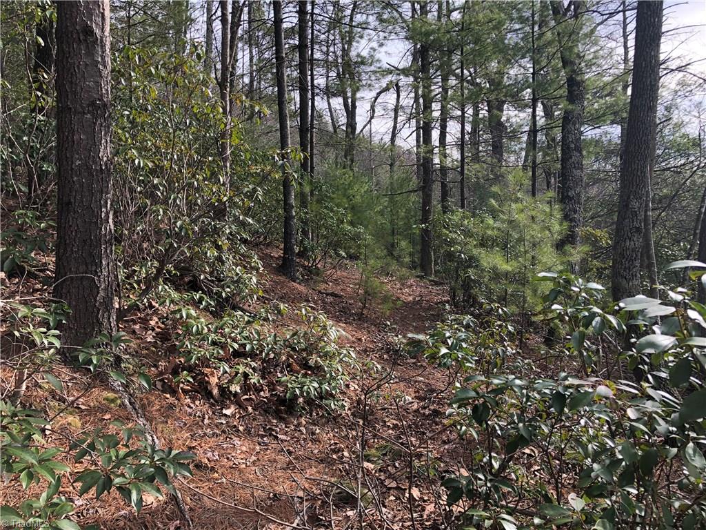 Lot 172 Blue Rock Road Purlear, NC 28665 - Photo 17 of 43