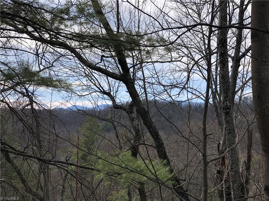 Lot 172 Blue Rock Road Purlear, NC 28665 - Photo 18 of 43