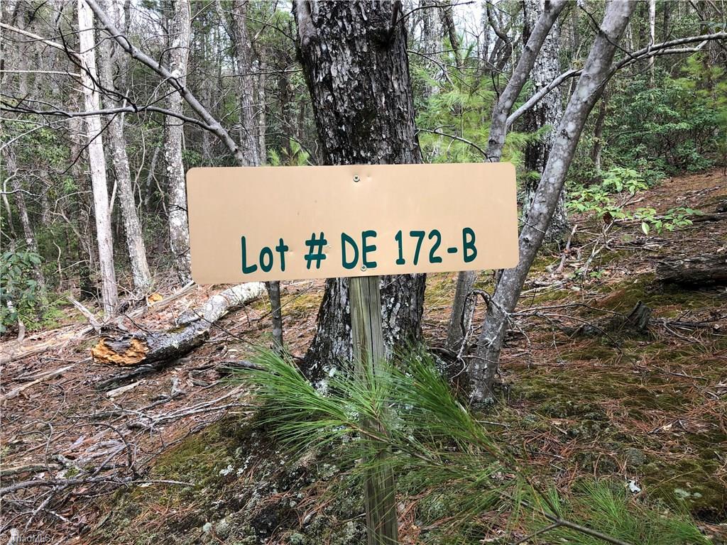 Lot 172 Blue Rock Road Purlear, NC 28665 - Photo 19 of 43