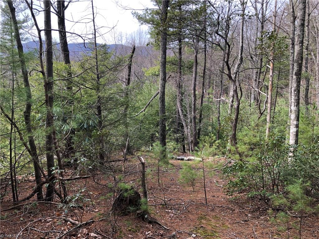 Lot 172 Blue Rock Road Purlear, NC 28665 - Photo 3 of 43