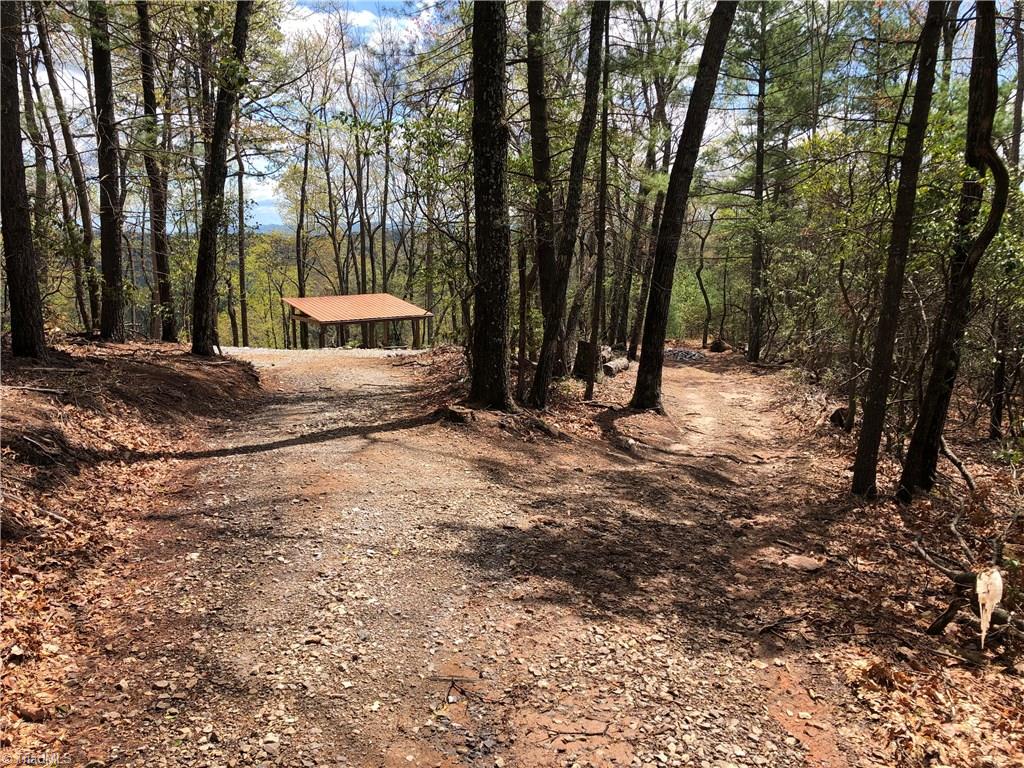 Lot 172 Blue Rock Road Purlear, NC 28665 - Photo 37 of 43 Great Oak Park (common area)