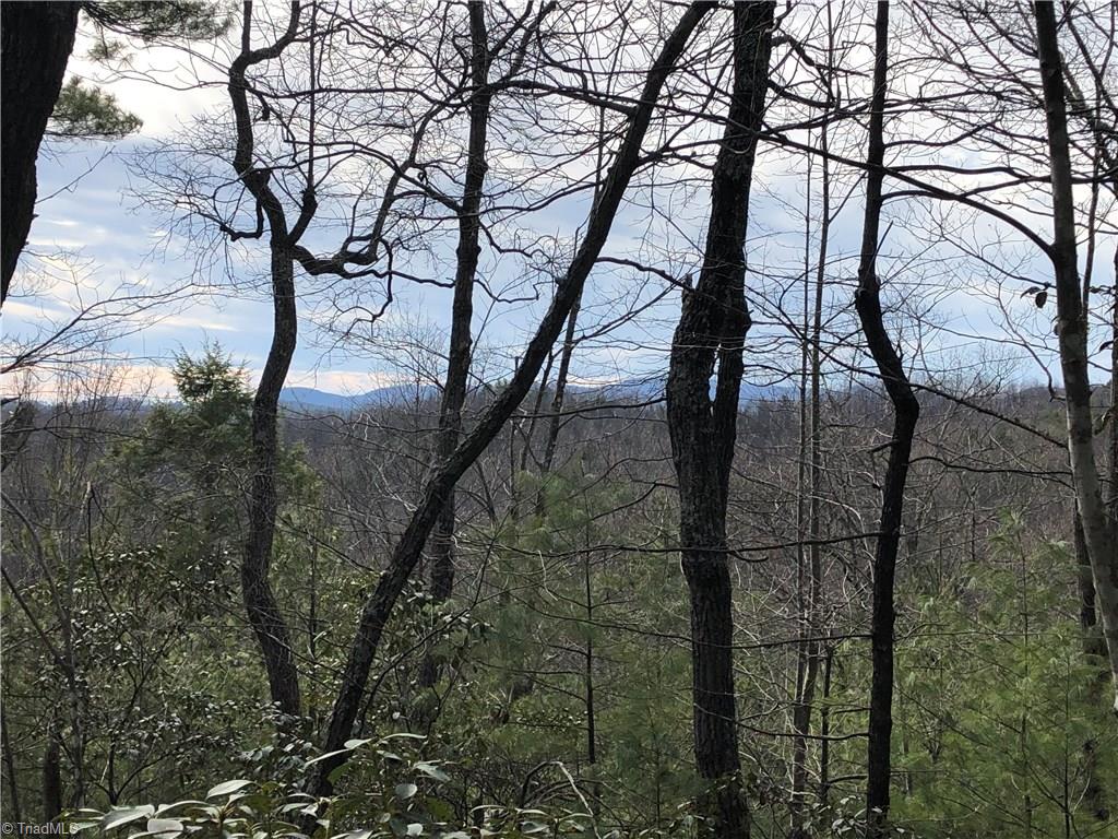 Lot 172 Blue Rock Road Purlear, NC 28665 - Photo 5 of 43 Great view potential from Lot 172B