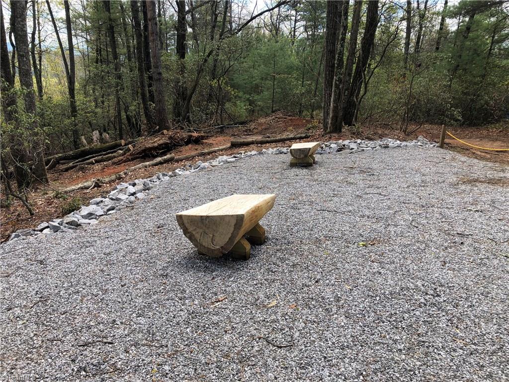 Lot 172 Blue Rock Road Purlear, NC 28665 - Photo 41 of 43