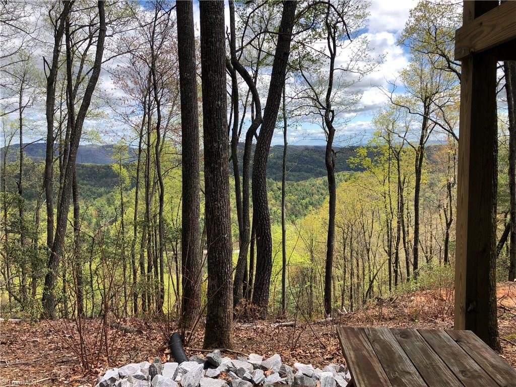 Lot 172 Blue Rock Road Purlear, NC 28665 - Photo 43 of 43 Great Oak Park (common area)