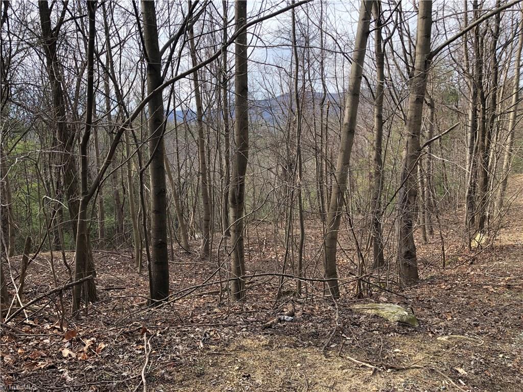 Lot 172 Blue Rock Road Purlear, NC 28665 - Photo 6 of 43 Gently sloping terrain makes this a great building lot.